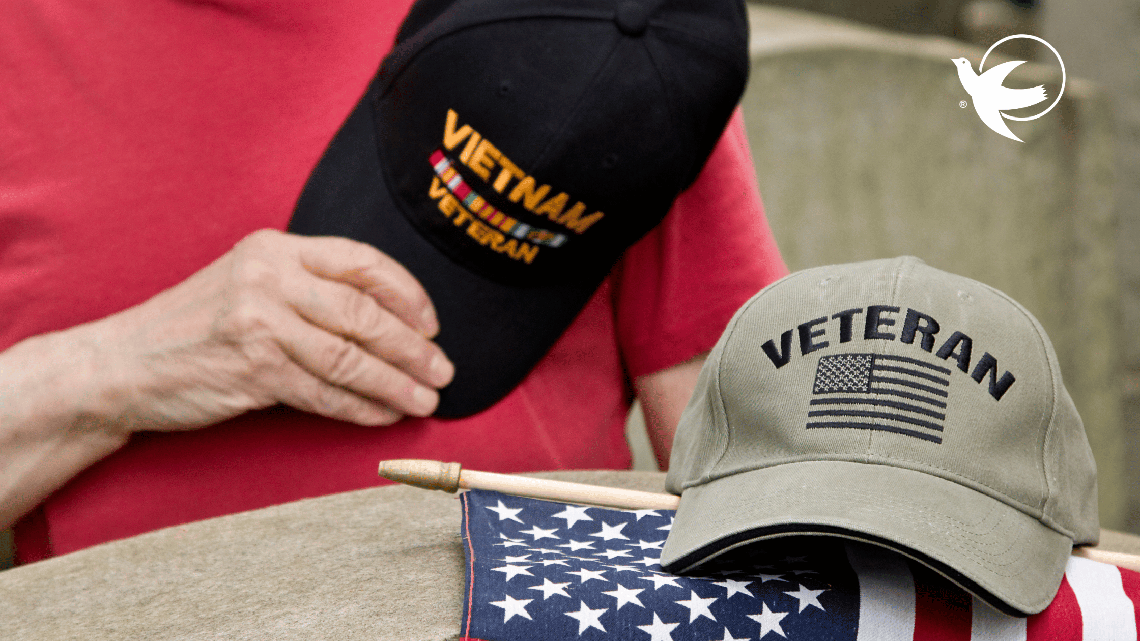 Understanding the Unique Needs of Aging Veterans